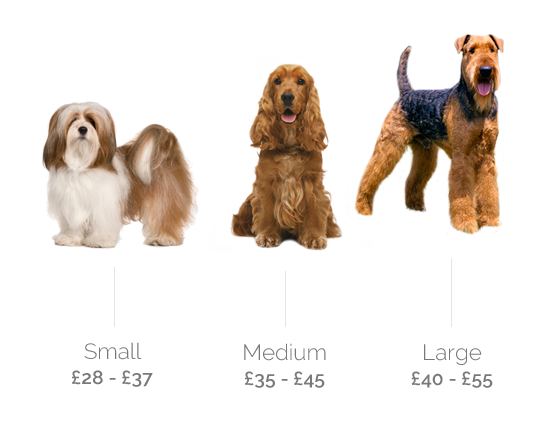 Dog Price Chart